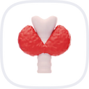 Thyroid Disease Consultation