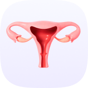 gynecology_experts