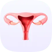 gynecology_experts