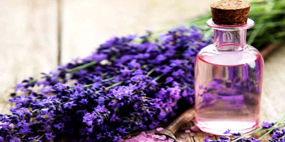 روغن اسطوخودوس