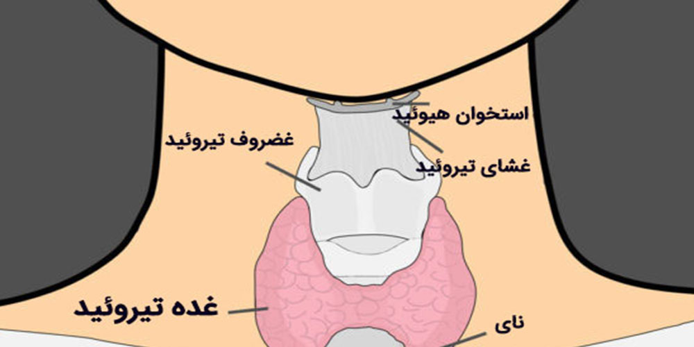 آزمایش تیروئید 