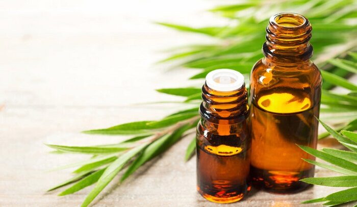 روغن درخت چای ضد باکتریای قوی جهت مقابله با اچ پی وی 