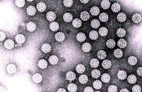 نتیجه مثبت تست HPV