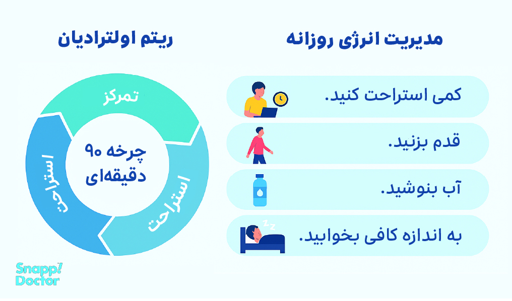 ریتم 90 دقیقه‌ای اولترادیان 