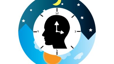 چرخه اولترادیان چیست؟